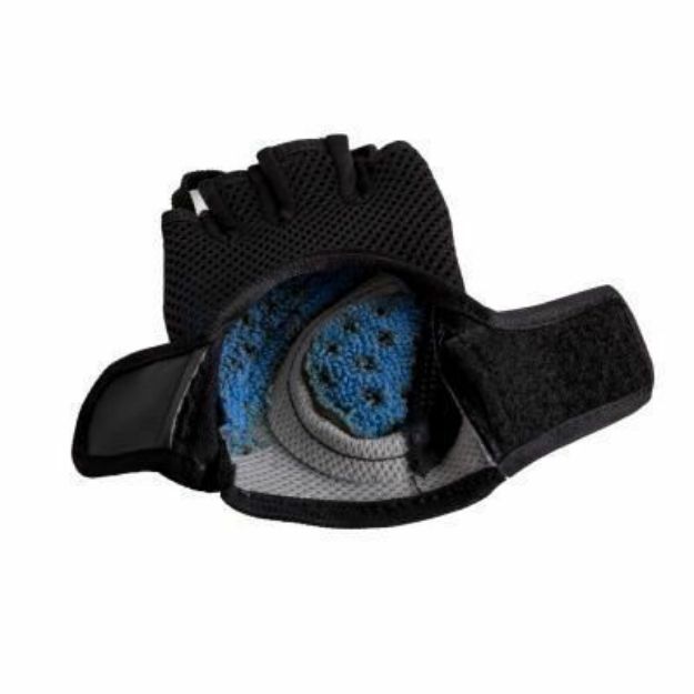 تصویر  دستکش بدنسازی بدون مچ چمپکس (Champex Lifting Gloves Gear Man)